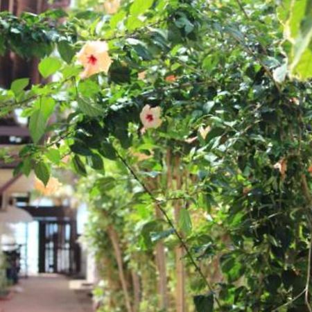 Pousada Parador 081 Pôrto das Galinhas Екстериор снимка