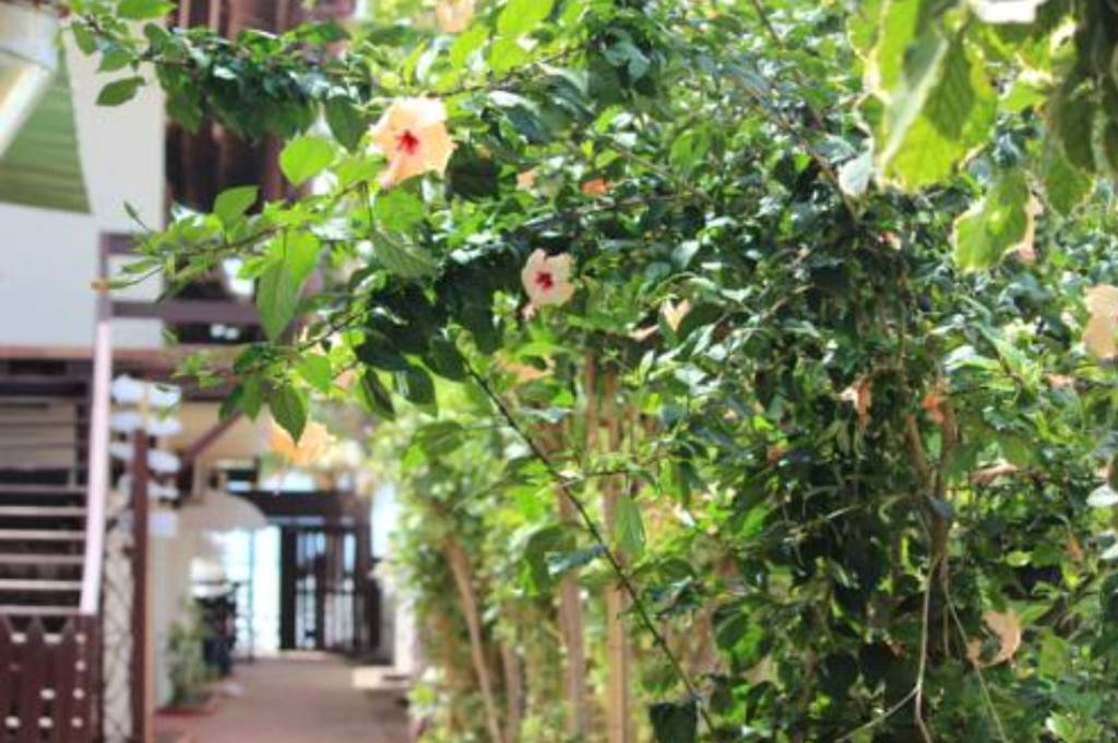 Pousada Parador 081 Pôrto das Galinhas Екстериор снимка